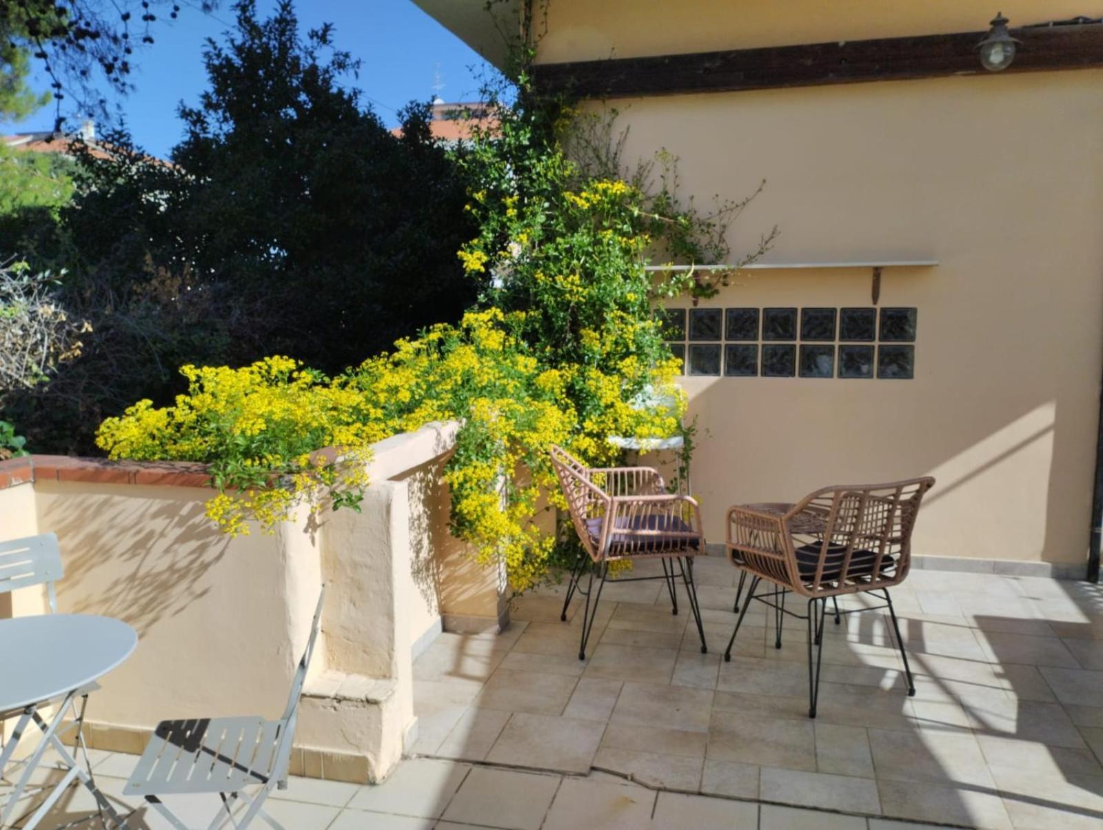 Appartamento Fronte Mare Con Parcheggio Privato بيسكارا المظهر الخارجي الصورة